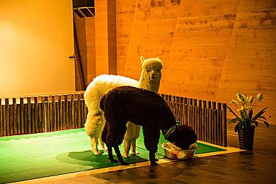 街霸喜迎35年庆典 《街头霸王2》全平台免费领取